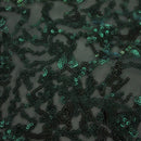 Coral Reef Stretch Mesh Sequin Fabric | Blue Moon Fabrics