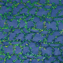 Toni Stretch Mesh Sequin Fabric | Blue Moon Fabrics